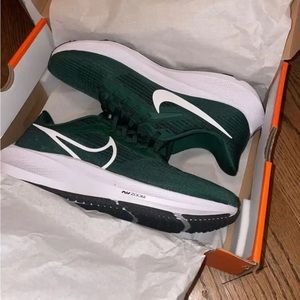 Nike air zoom Pegasus